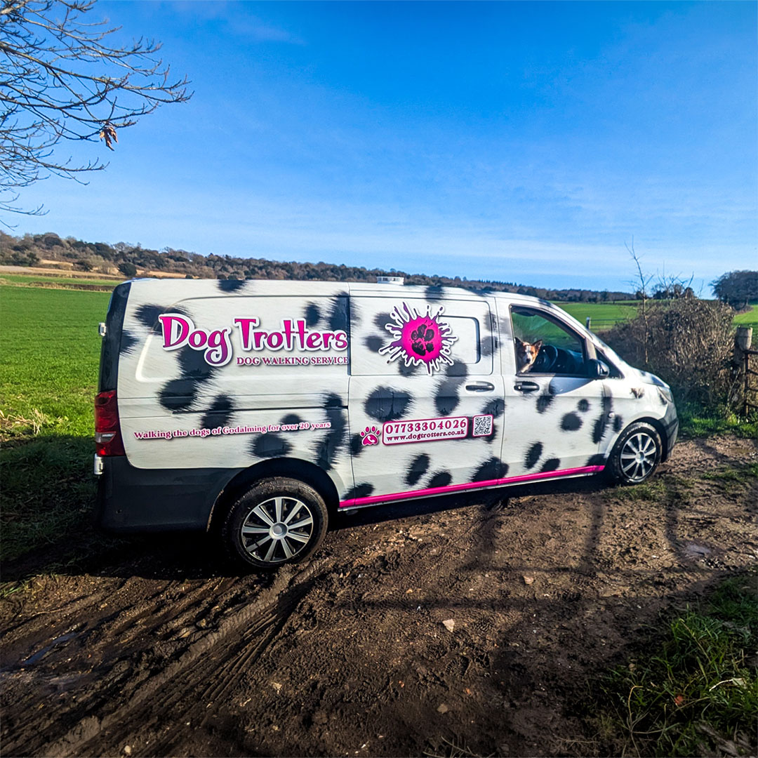 Our van, Vinnie